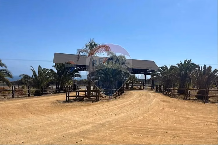Parcela en rocas del mar | los molles | rol propio - Imagen 15