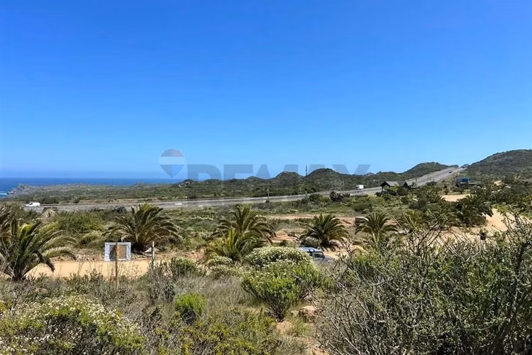 Parcela en rocas del mar | los molles | rol propio - Imagen 9
