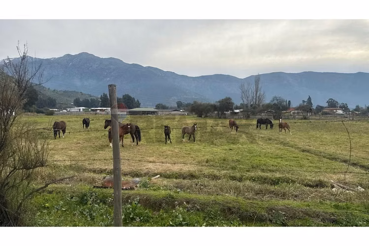 Venta de parcela en paine - Imagen 2