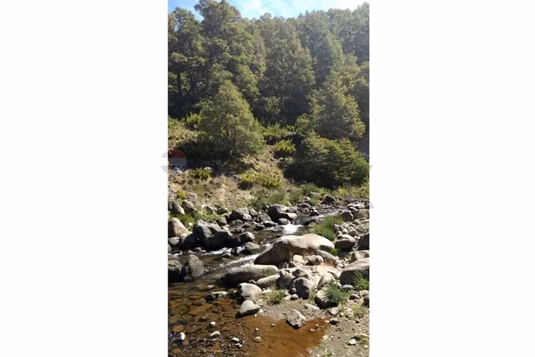 Parcela lonquimay 1,4 ha - Imagen 6