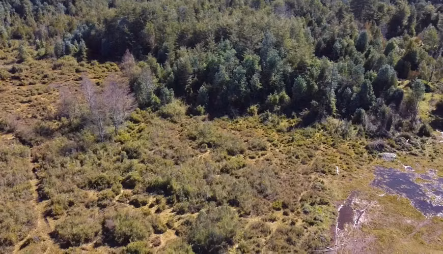 OPORTUNIDAD TERRENOS INDÍGENAS A 15 MILLONES LA HECTÁREA