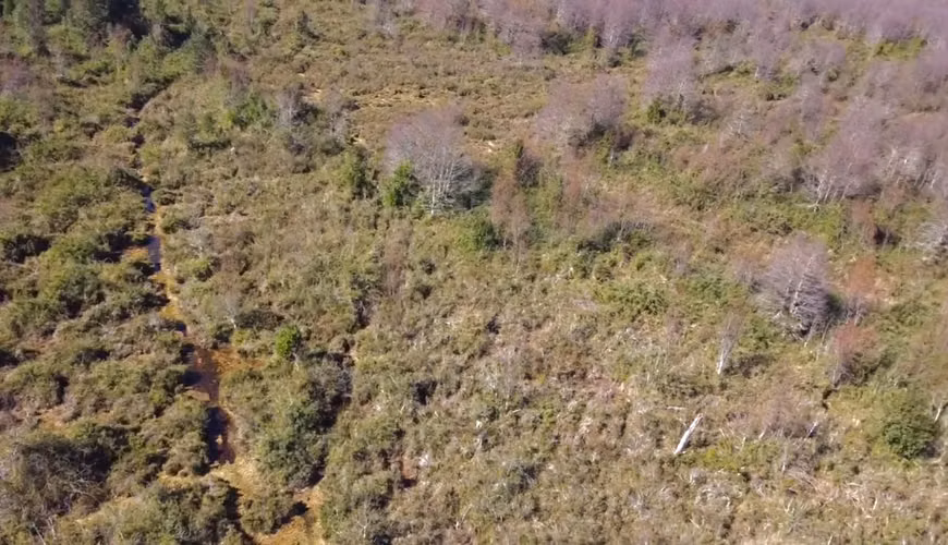 OPORTUNIDAD TERRENOS INDÍGENAS A 15 MILLONES LA HECTÁREA