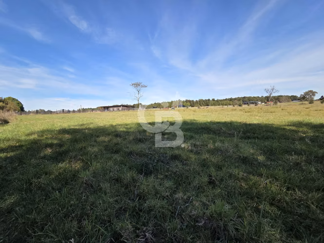 HERMOSA PARCELA EN FRUTILLAR - Imagen 9