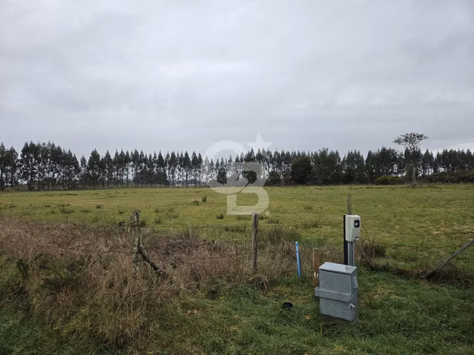 HERMOSA PARCELA EN FRUTILLAR - Imagen 3