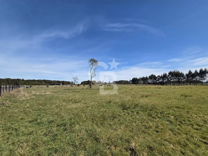 HERMOSA PARCELA EN FRUTILLAR - Imagen 7