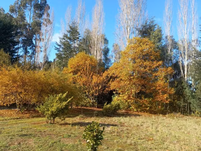 Parcela con casa en venta en Freire