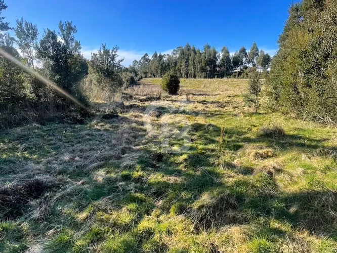 Parcela Isla Puluqui: 5000m² de Naturaleza e Inversión - Imagen 15