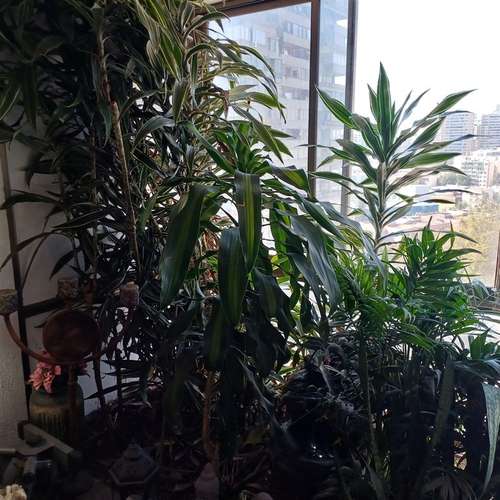 Departamento en venta de 3 dorm. en Santiago - Imagen 18