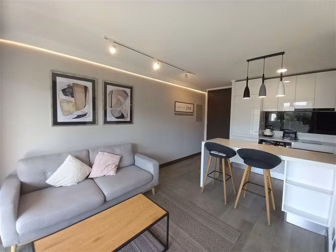 Departamento 1D 1b, Estacionamiento Bod, Edificio Cantagallo - Imagen 5