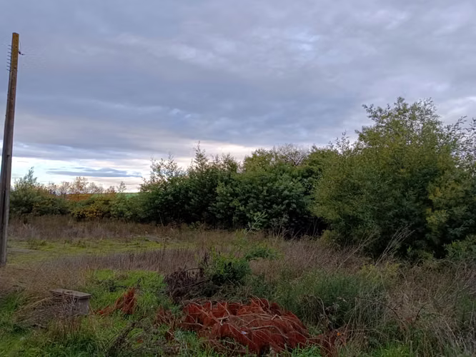 TERRENO INDUSTRIAL EN PILLALELBUN