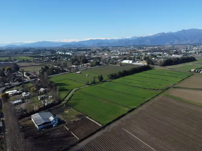 Loteo Los Álamos – Parcelas agrícolas en Rengo