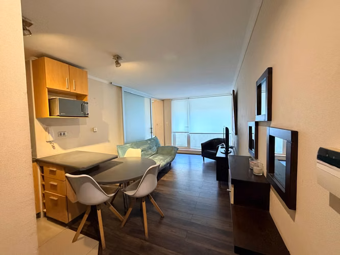 ARRIENDO DEPARTAMENTO AMOBLADO, 1 DORMITORIO, CONCEPCION. - Imagen 5