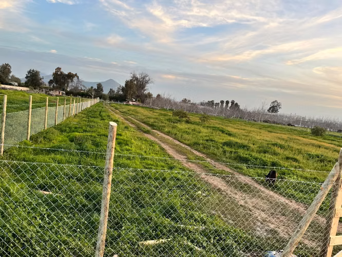 Oportunidad en Colina – Parcela en condominio Viñas de Chacabuco, ideal para construir tu hogar