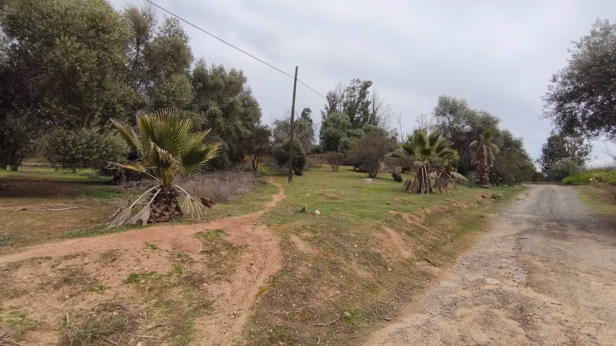 PRECIOSA PARCELA EN CURACAVÍ (URBANIZADA) (183500) - Imagen 14