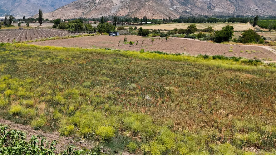 A 2 min. de Escuela Agrícola Salesiana/ 5.400 mts Agua y factibilidad de luz