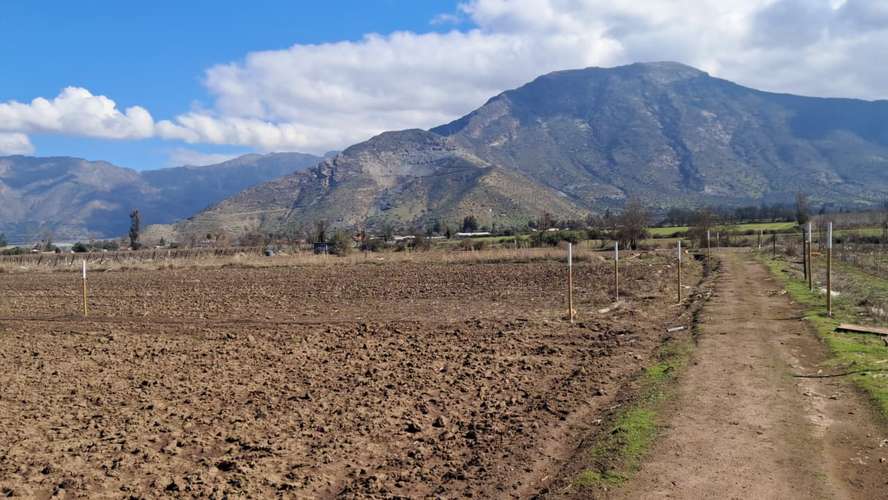 A pasos de Escuela Salesiana Catemu y calle principal/ Agua y factibilidad de luz