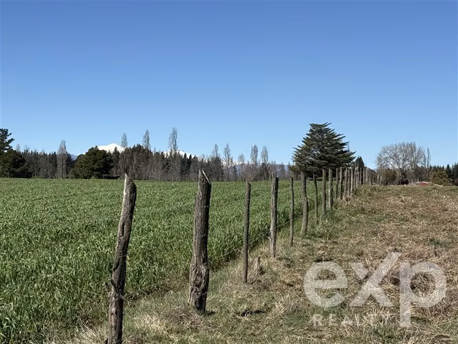 Agrícola en venta en Pinto