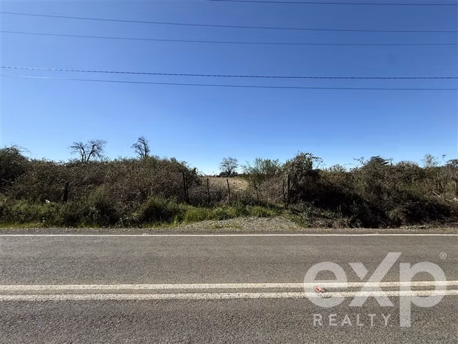 Agrícola en venta en Pinto - Imagen 7