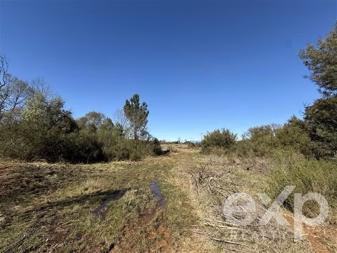Agrícola en venta en Pinto - Imagen 6