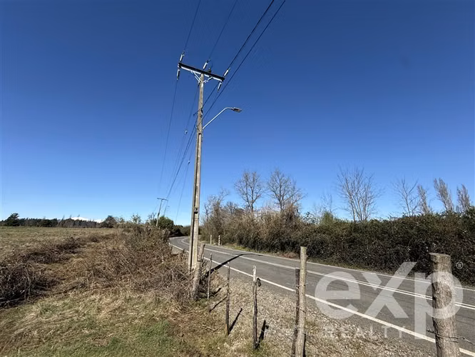 Agrícola en venta en Pinto - Imagen 13