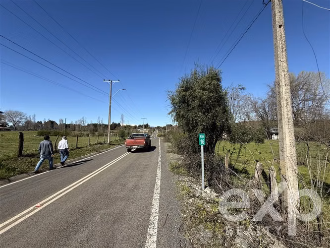 Agrícola en venta en Pinto - Imagen 17