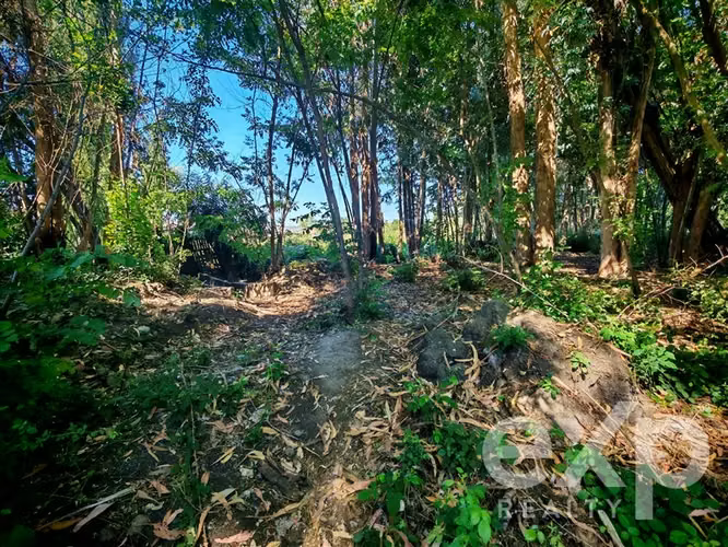 Casa con amplio terreno en venta en Quinta de Tilcoco - Imagen 14
