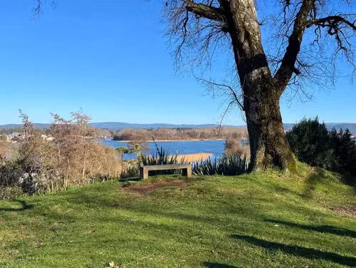 Venta De Exclusiva Casa En Isla Teja - Imagen 40