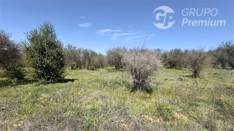 Parcela en venta en Curacaví - Imagen 5