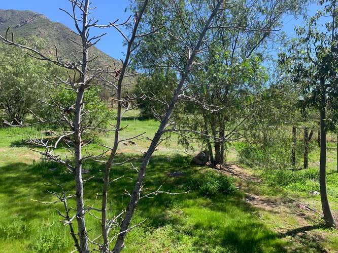 Rinconada – Casa 209 m² Chimeneas – Hacienda Rinconada - Imagen 9