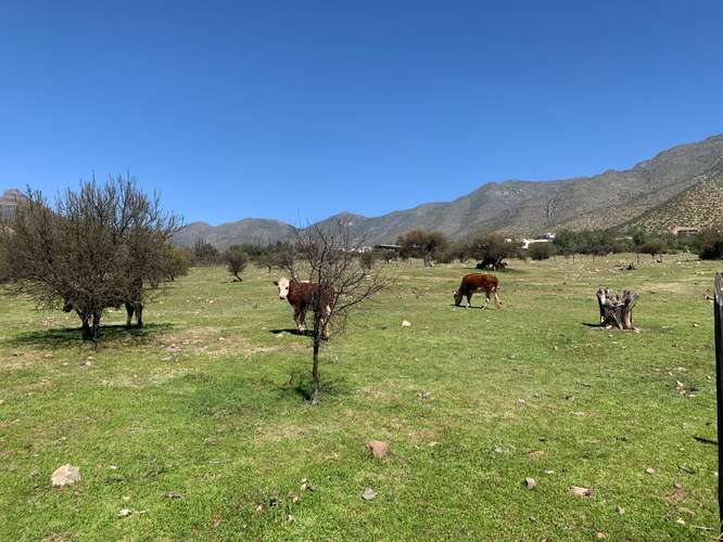 Rinconada – Parcela 7.346 m² Casa 6D 3B – Hacienda Rinconada - Imagen 8