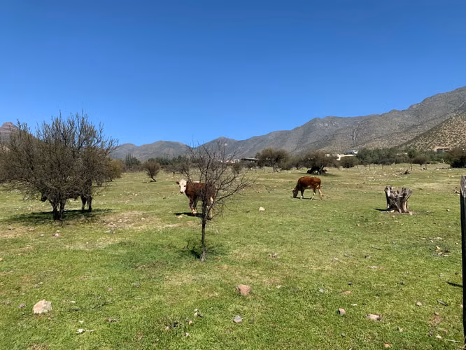 Rinconada – Casa 6D 3B Piscina – Hacienda Rinconada - Imagen 8