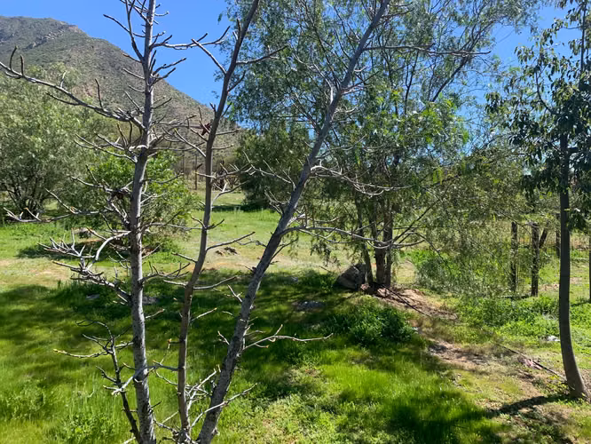 Casa de campo con piscina y amplio terreno en Hacienda Rinconada