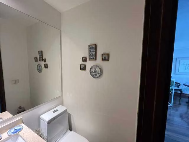 Amplio Departamento, Gastón Hamel (183575) - Imagen 40