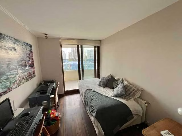 Amplio Departamento, Gastón Hamel (183575) - Imagen 12