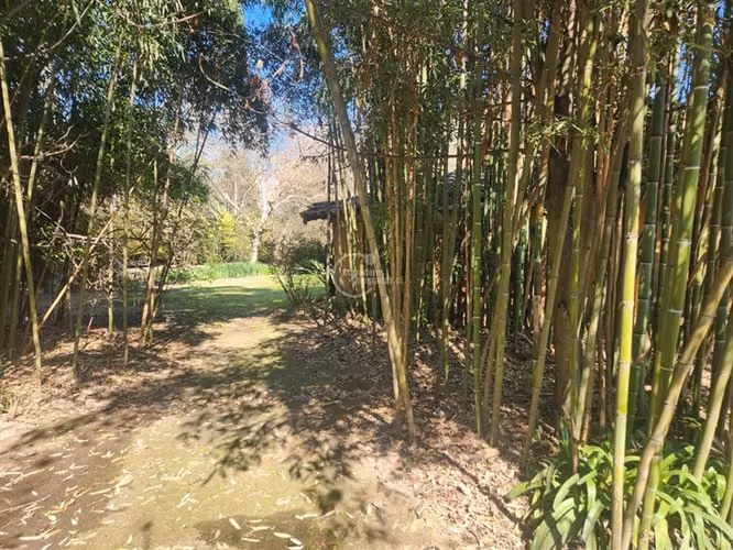 Casa de campo colonial de 3 dormitorios en Calera de Tango - Imagen 5