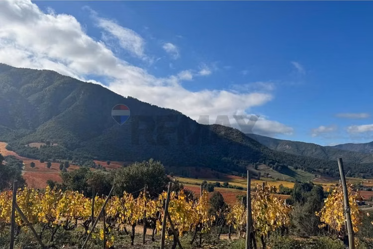 Winelot pircas de apalta