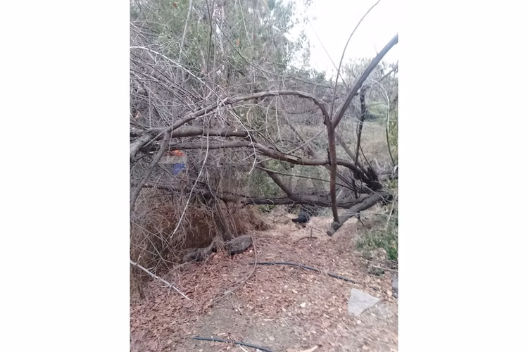 Venta terreno  sector jardín  la dehesa