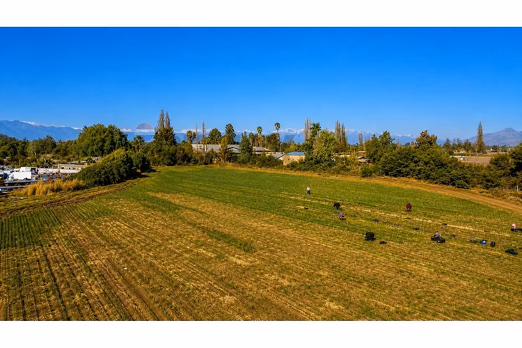 Terreno agrícola 55.000 m² en lampa con casa - Imagen 14