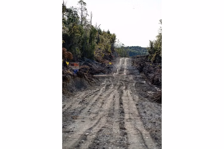 Chiloé 1,18mtrs, 2 roles, oportunidad inversión