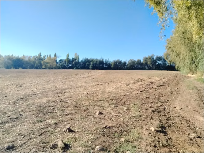 CAMPO, TERRENO AGRICOLA EN VENTA EN COLBÚN CON AGUA