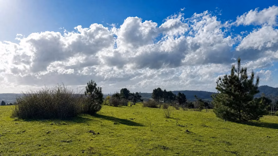 EXCELENTE TERRENO EN VENTA SECTOR COIPUE ALTO - Imagen 12