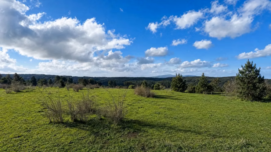 EXCELENTE TERRENO EN VENTA SECTOR COIPUE ALTO - Imagen 10