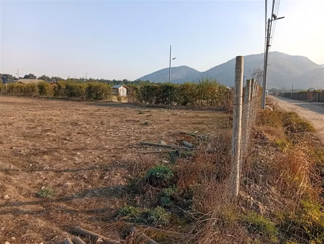 Agrícola en venta Codegua en carretera 5 sur poniente - Imagen 7