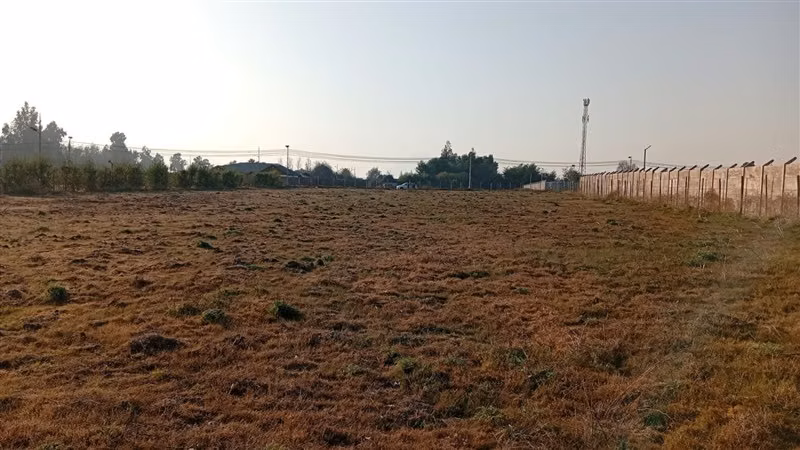 Agrícola en venta Codegua en carretera 5 sur poniente - Imagen 3