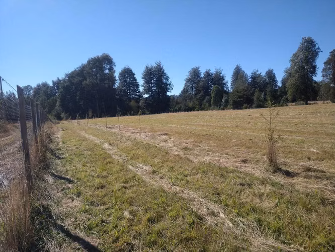 PARCELAS EN VENTA, PANGUILELFÚN, DESDE $35 Y HASTA $60 MILLONES, REGIÓN DE LOS RÍOS