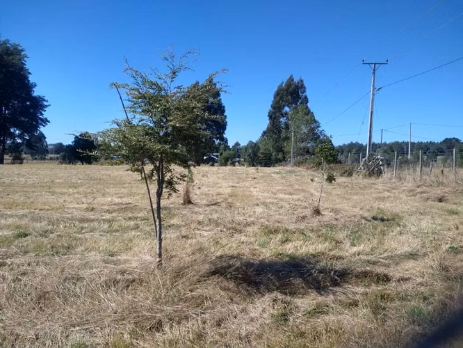 PARCELAS EN VENTA, PANGUILELFÚN, DESDE $35 Y HASTA $60 MILLONES, REGIÓN DE LOS RÍOS