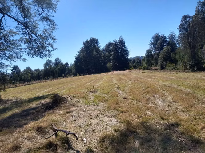 PARCELAS EN VENTA, PANGUILELFÚN, DESDE $35 Y HASTA $60 MILLONES, REGIÓN DE LOS RÍOS