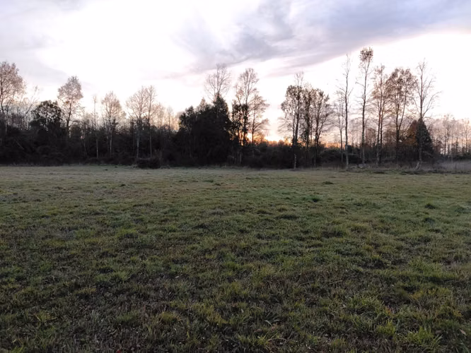 CAMPO DE 3 HECTÁREAS EN VENTA, SANTA REGINA, REGIÓN DE LOS RÍOS