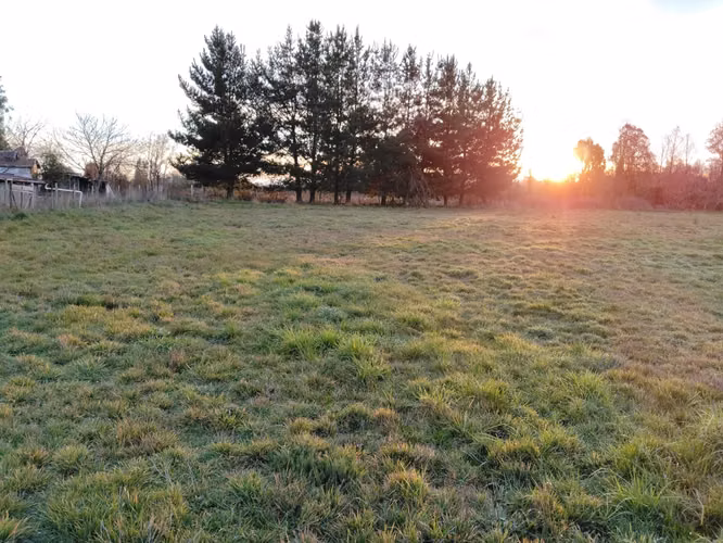 CAMPO DE 3 HECTÁREAS EN VENTA, SANTA REGINA, REGIÓN DE LOS RÍOS