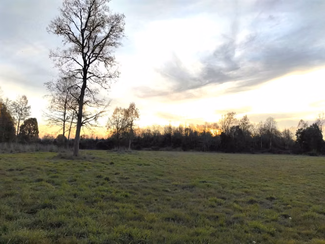 CAMPO DE 3 HECTÁREAS EN VENTA, SANTA REGINA, REGIÓN DE LOS RÍOS